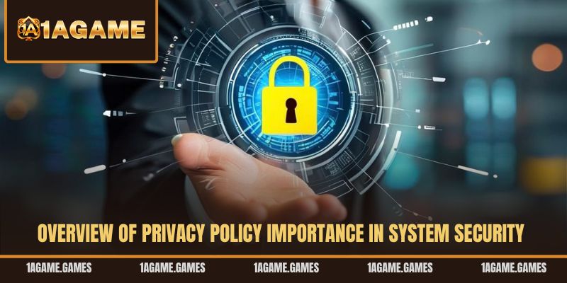 overview-of-privacy-policy-importance-in-system-security
